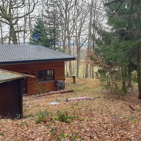 Ferienhaus Waldhaus Hempe *