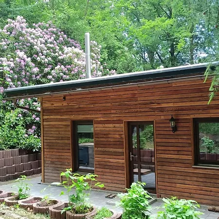 Ferienhaus Waldhaus Hempe *