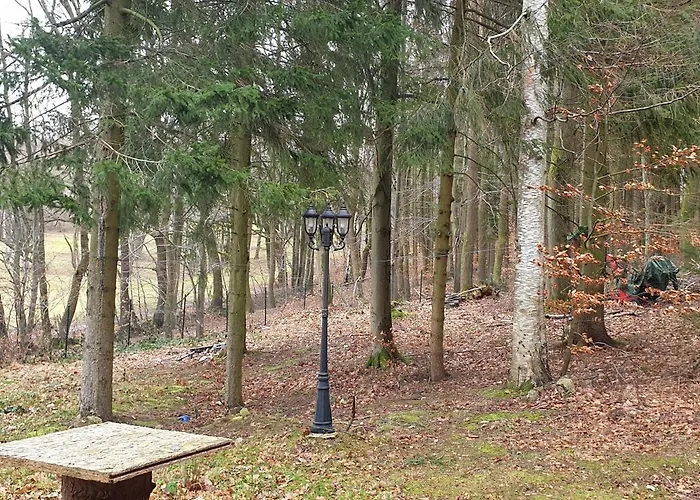 Waldhaus Hempe Tatil Evi